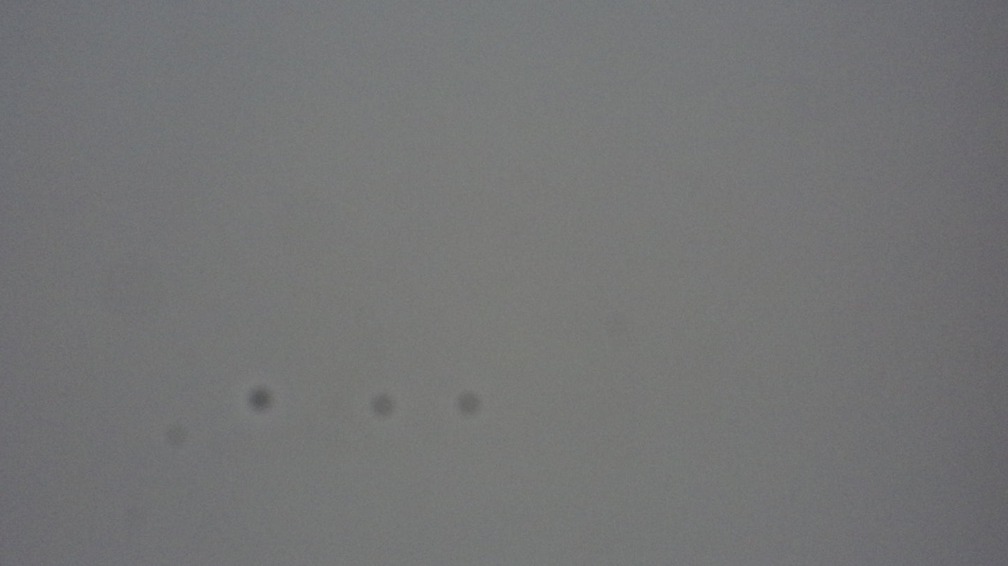 Sony Cyber-shot DSC-W310 12.1MP Digital Camera