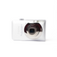 Canon Digital ELPH SD1300 IS 12.1MP Silver - Good