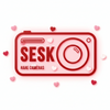 SESKO